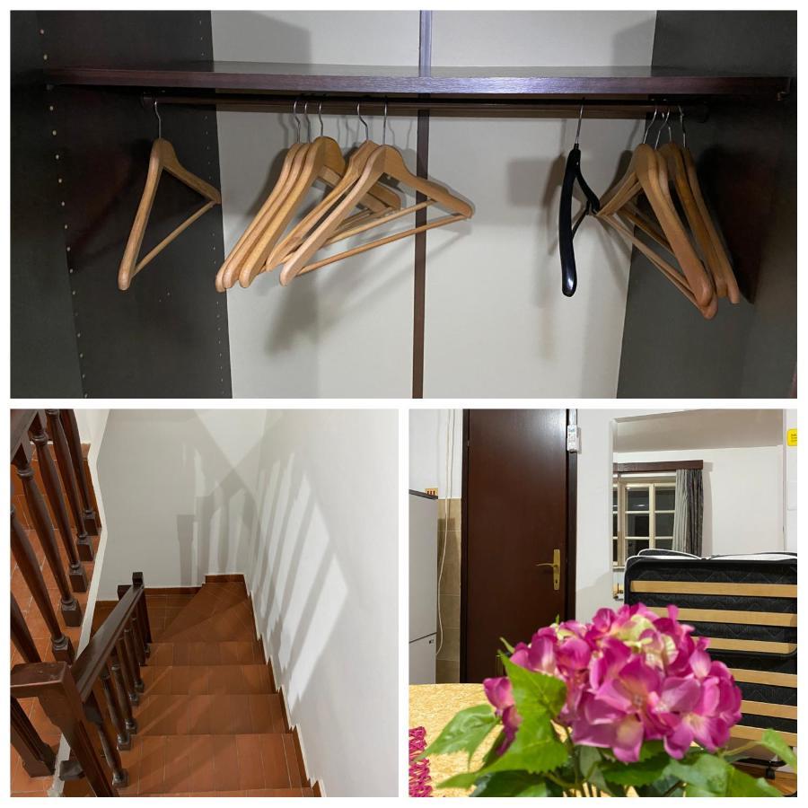 Vivav Apartament *